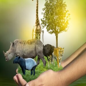 Managing Wildlife: Protecting Species and Their Habitats